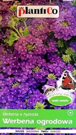 Hibrīdā verbēna violeta 0.5 g PlantiCo    A.P.